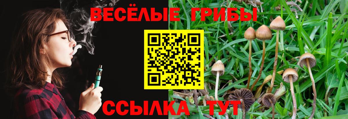 Псилоцибиновые грибы Psilocybine cubensis  Вход с VPN  Истра 
